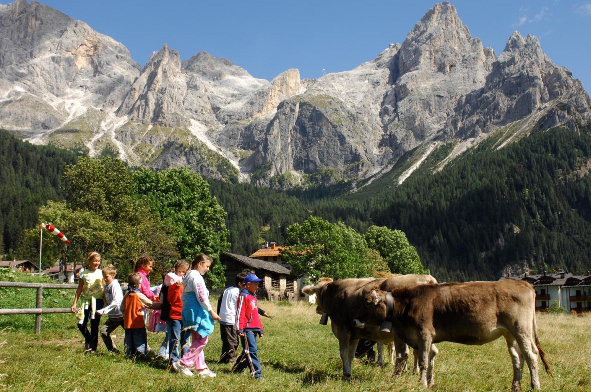 Sporting Aparthotel San Martino Di Castrozza Buitenkant foto
